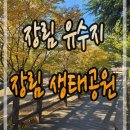 장림유수지 데크 휴식공간 | 사하구 단풍 명소 장림 생태공원 장림유수지 걷기 좋은 산책길