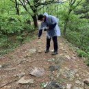 작두산성 이미지