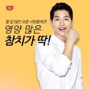 참치 컴퍼니 이미지