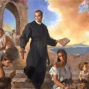 사르넬리 이미지