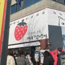 담모찌 이미지