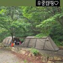 고성군 게이트볼장 화장실 | 구미 산동 원당 공원, 넓적배, 왕사마귀 채집 후 사육 후기