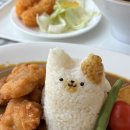 미냥이 이미지