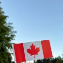 하루애쿡 | 11개월 동안 캐나다 생활을 하면서 느낀점 🇨🇦
