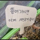 돌곶이역 7번출구 이미지