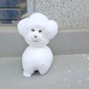 나무쉼터 동물병원 이미지