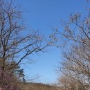라온 - 서산시 율지3로 18 | 라온