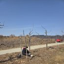 연풍농장 이미지