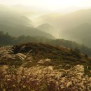 번개목장 이미지