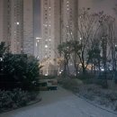 스노와잇 네이버블로그