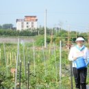 후계자주말농장 이미지