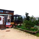 린네약국 이미지