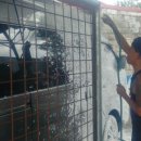 다정세차장 이미지