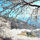 화개119지역대 이미지