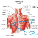 "조던스피스 프로"와 양팔의 오각형 이미지