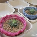 부천서초등학교병설유치원 이미지