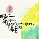 소율의캘리그라피