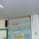 제주북초등학교 이미지