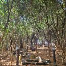 고운최치원선생동상 | [공지] [동백공원 해안산책로 :최치원 동상, 해파랑길-2],Take a walk, 해운대구, 부산