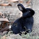 무인35 이미지