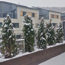 더 빌리지 이미지