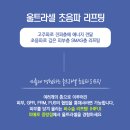 라셀 이미지