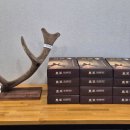 경희대원한의원 이미지