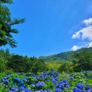 테마투어(목장 체험) 이미지