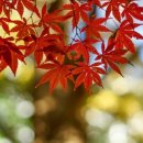 세정세무회계사무소 이미지