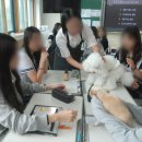 서울대학교사범대학부설여자중학교 이미지