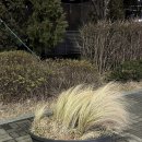 민성세탁소 이미지