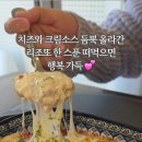 사파동262 이미지