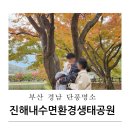부산 경남 창원 단풍 명소 진해 내수면환경생태공원 아기랑 유모차 방문 후기(단풍 실시간)