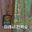 미래사 | 통영 미래사 편백나무숲 바다백리길 통영 현지인 추천