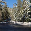 엔젤레스 이미지