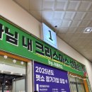 2024 크리스마스 세텍 펫쇼 첫날 관람 후기
