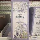 오월애봄 - 합천군 | 오월애봄