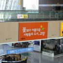 휘성(토크콘서트) 이미지