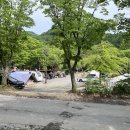 꽃이야 나무야 파주 이미지