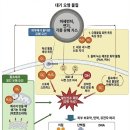 meta plant | 내 피부가 깨끗해지는 날, 지구도 숨을 쉰다ㅡ피부와 환경오염의 상관관계