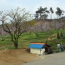 일봉농장 이미지