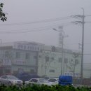 송정탕 이미지