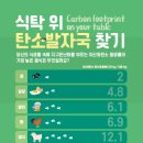 11월의 발자국 네이버블로그