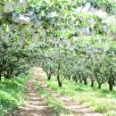 예림농장 이미지