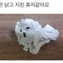 희복