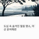 아산 운여해변 같은 헛개나무논, 도심 속 힐링의 정수를 담다