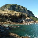 산방산의봄 이미지