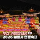 133 | 부산 연등회 2026 삼광사 연등축제｜사진 찍기 좋은 부산 야경 명소