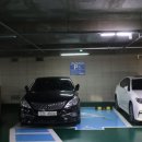 [무장애 서울여행] 교통약자의 낙원상가 탐방기-경은 어쿠스틱 찐 후기
