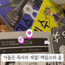 놀숲 압구정역점